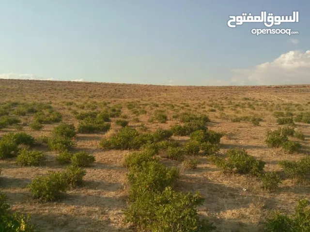Mixed Use Land for Sale in Damascus Al-Tall