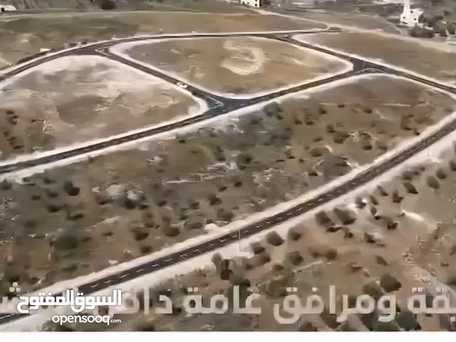 اراضي جنسينيا