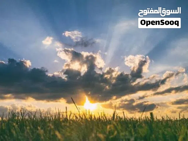 Fortnite Accounts and Characters for Sale in Muscat