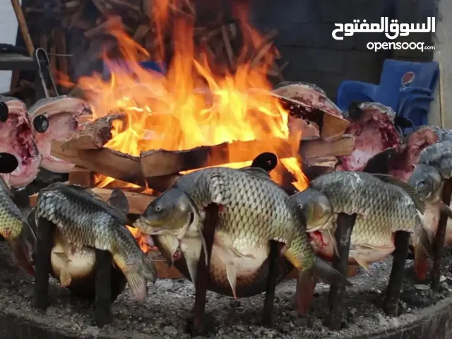 سمك مسكوف عراقي