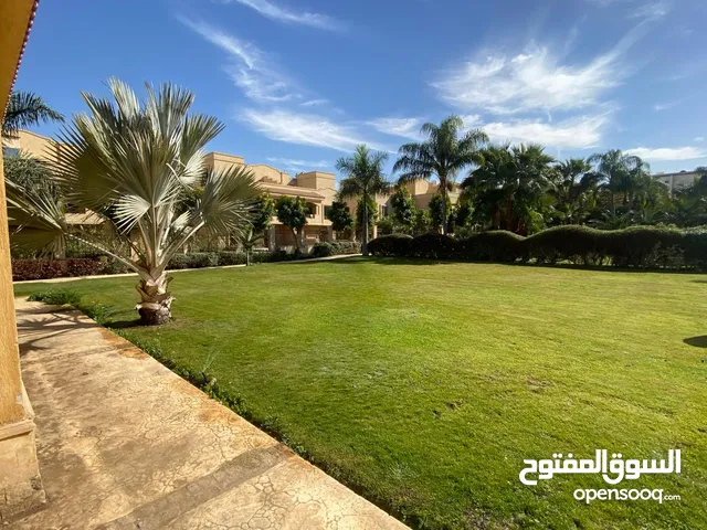 مول تجاري بزيزينيا فلورز الشروق بجاني الجامعة البريطانية