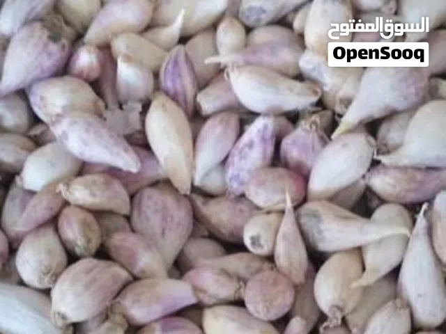 ثوم ذكر درجه اولى