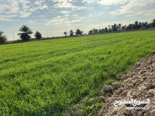 Farm Land for Sale in Baghdad Sham