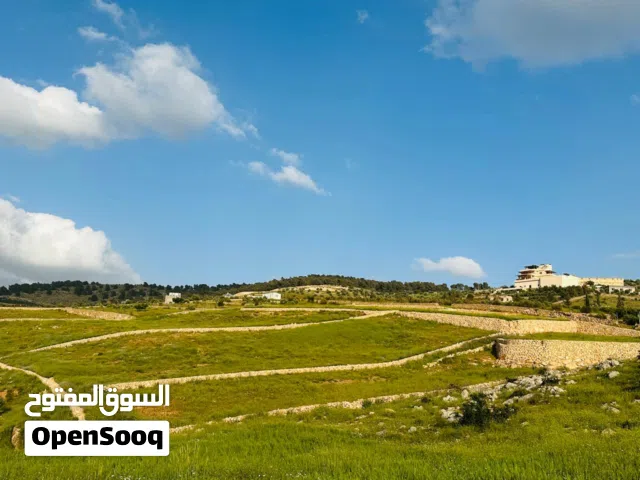 Mixed Use Land for Sale in Jerash Unaybah