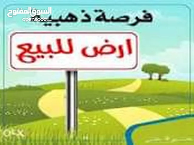 Residential Land for Sale in Basra Al Mishraq al Jadeed