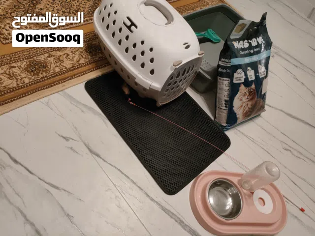 ليتر بوكس و بوكس وشرابة ودواسة ورملة
