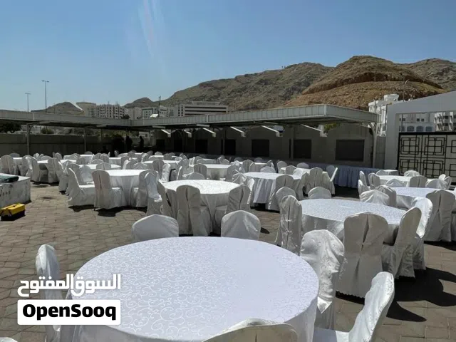 كراسي وطاولات للإيجار  Chairs and tables for rent