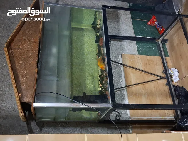 حوض سمك للبيع حجم كبير