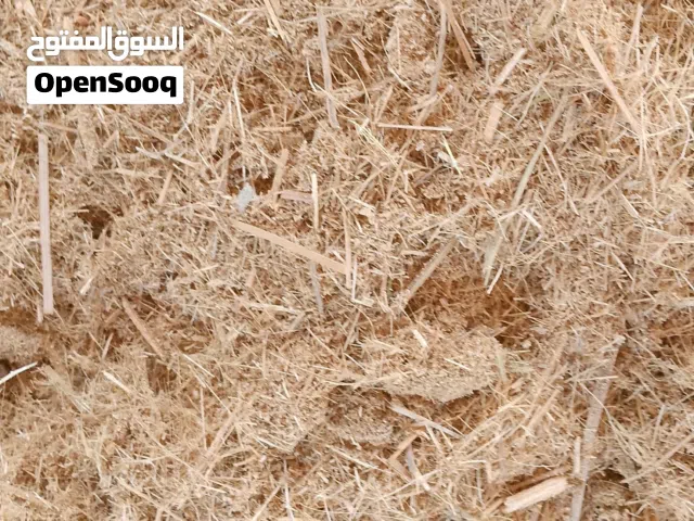 تبن سعف نخل