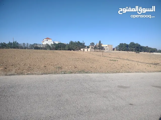Residential Land for Sale in Amman Al Jizah