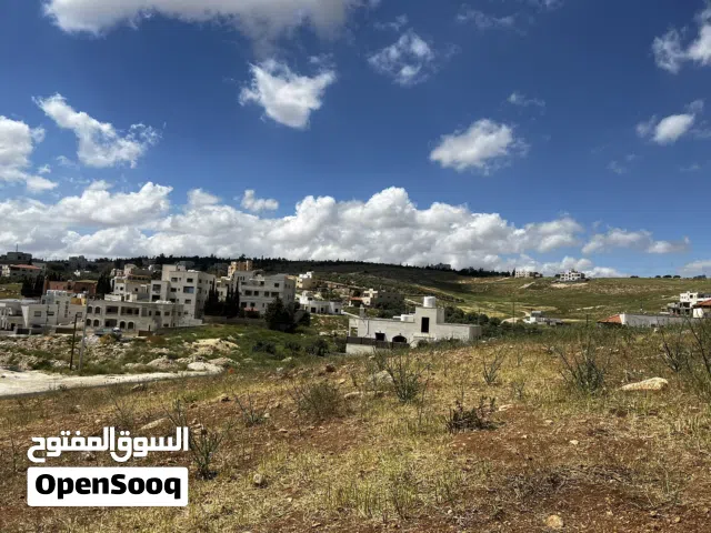 Residential Land for Sale in Amman Shafa Badran