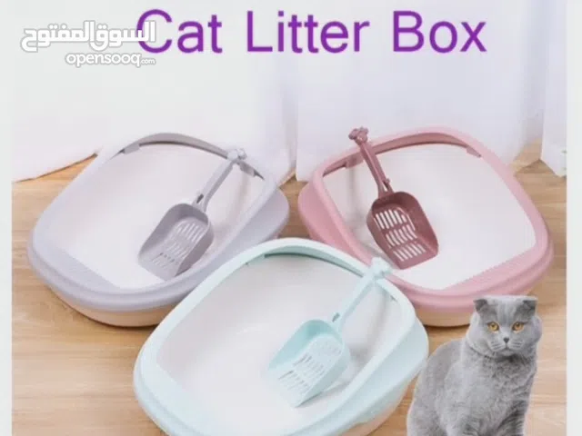 cat letter box