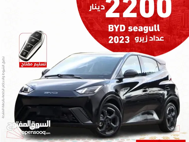 BYD Seagull 2023 in Amman