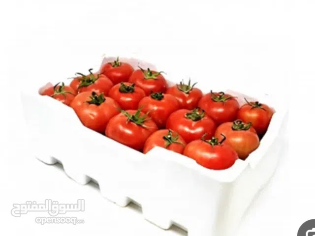 طماطم 5 كليو