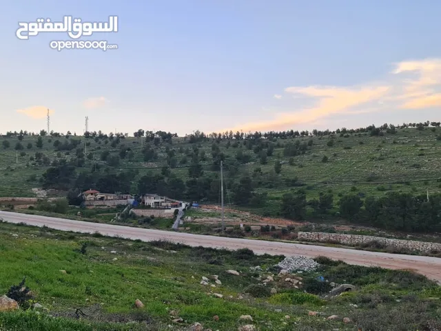 Mixed Use Land for Sale in Jerash Qafqafa