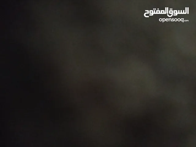 Apple iPhone 11 Other in Ramallah and Al-Bireh