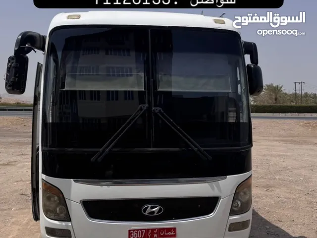 باص هونداي 50 راكب