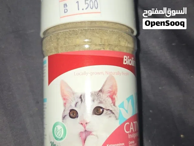 Catnip for cats
