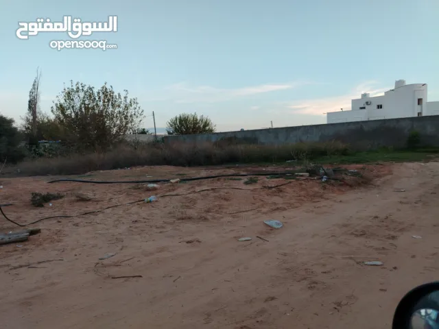قطعة أرض الكريمية شارع دبي البشاير