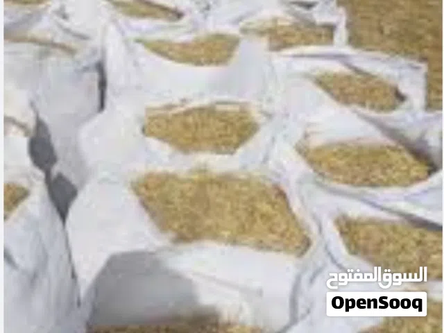 تبن احمر للبيع