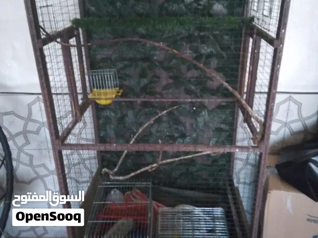 للبيع مطير مناسب لجميع انواع الطيور زائد قفص ثلاث معالف وقفص معلفين مع كامل اغراض