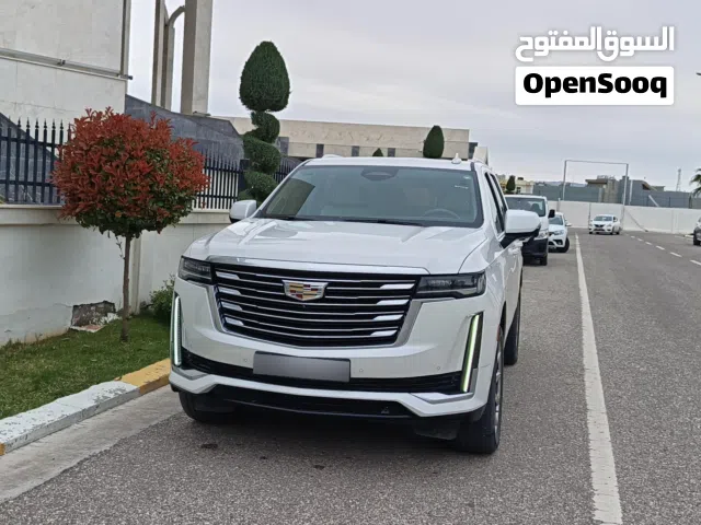 2021, كاديلاك, اسكاليد, Platinum