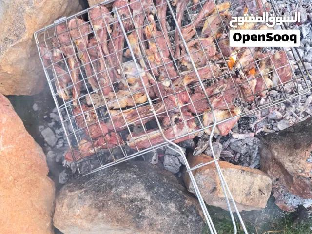 فحم بلوط للبيع