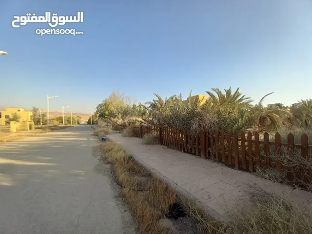 ارض مميزة مساحة 2500م واجهة 60م في غور الرامة