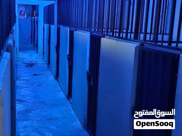 فندقة وتدريب كلاب جدة