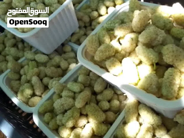 سلام عليكم ورحمة الله وبركاته
