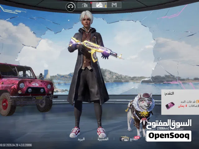 Pubg Accounts and Characters for Sale in Daraa