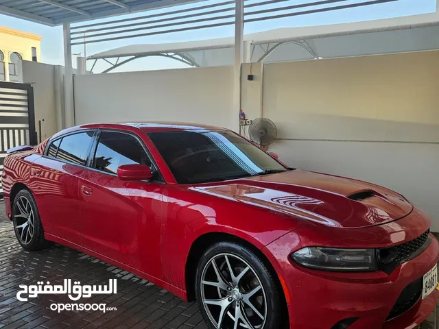 Used Dodge Charger in Sharjah