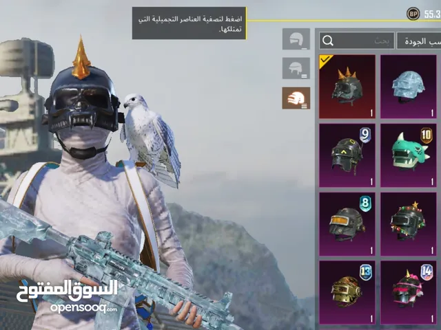 Pubg Accounts and Characters for Sale in Amman