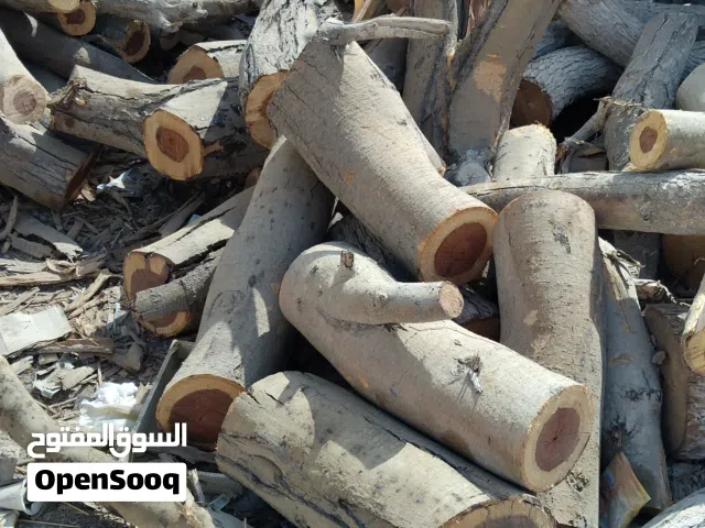 يتوفر حطب سمر الحجم الكبير