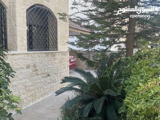 450 m2 4 Bedrooms Villa for Rent in Amman Al Jandaweel