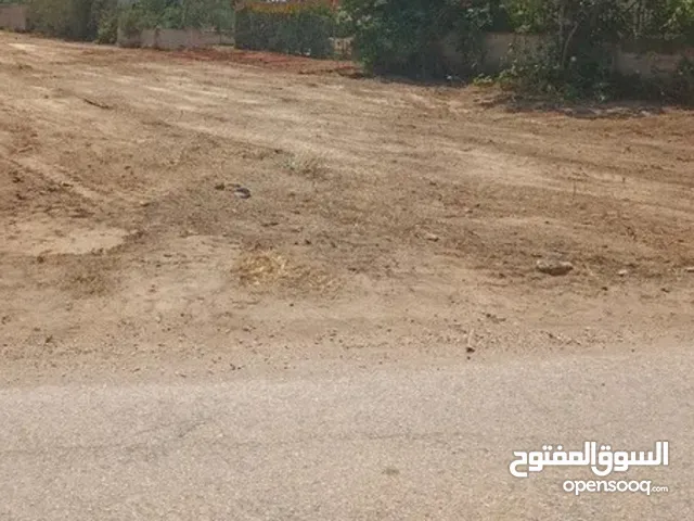 قطع اراضي للبيع ماركا الجنوبيه/ المغيرات بسعر مغري