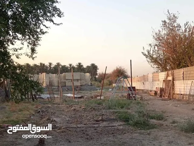 Farm Land for Sale in Baghdad Abu Dshir