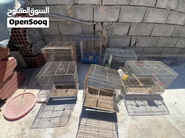 اقفاص للبيع