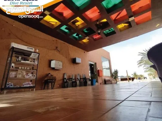 منتجع بيت العقبه السياحي ومركز غوص