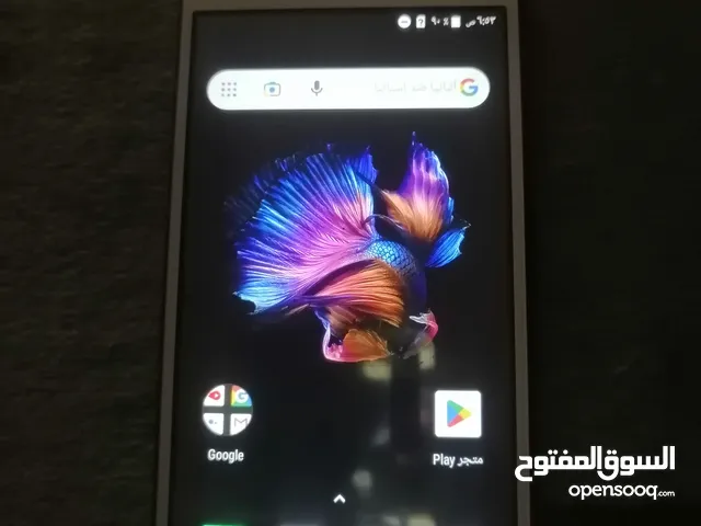 Lava. للبيع