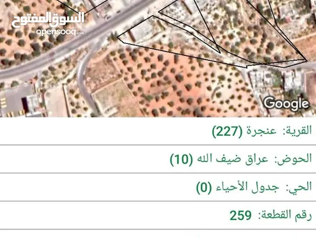 Mixed Use Land for Sale in Ajloun A'anjara