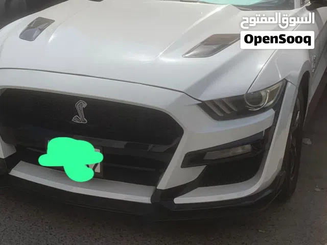 دعامية موستنغ شلبي اصلي