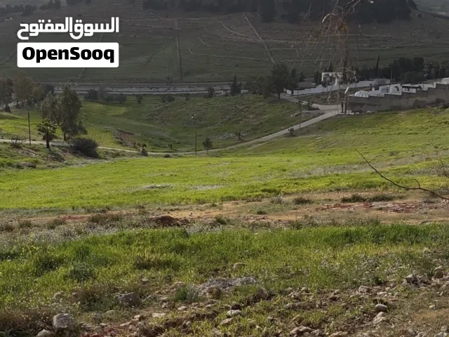 Residential Land for Sale in Mafraq Rhab