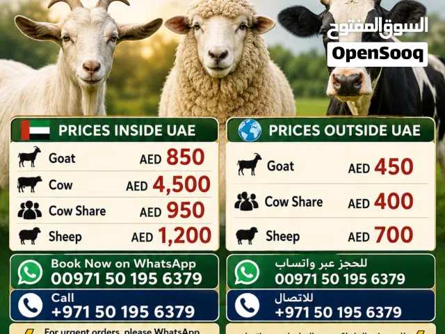 QURBANI 2026 BOOKING NOW OPEN  Sharia-compliant sacrifice with delivery & distribution