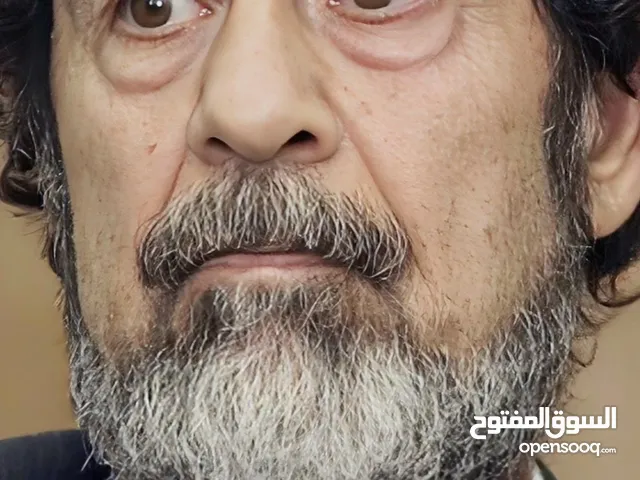 محمد بني خالد