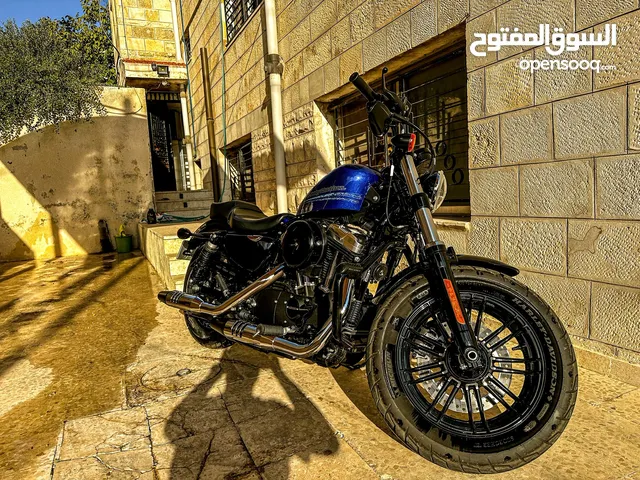 2019 Harley-Davidson Sportster 48