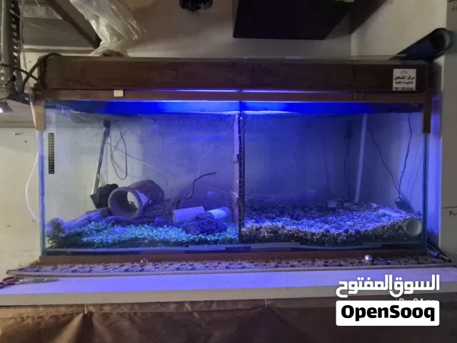 حوض سمك فلتر بايولجي علوي حجم كبير متر وثلاثين سانتي 1.30cm