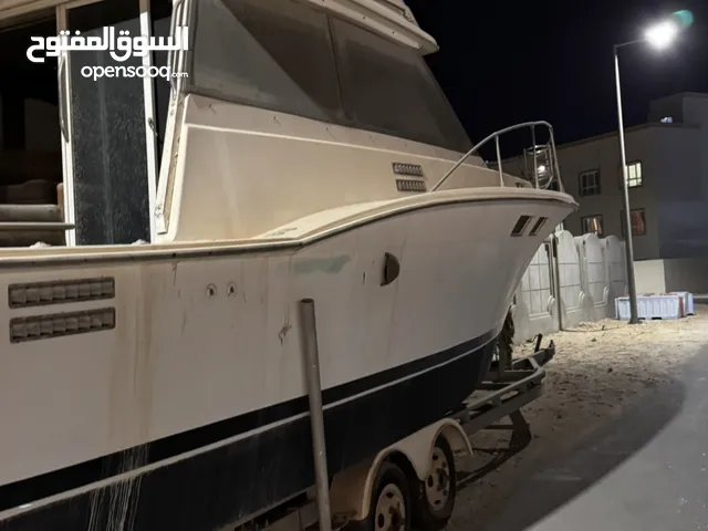 قارب بدون مايكنات