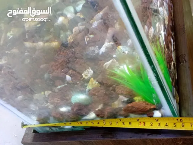 حوض سمك 70 حجم