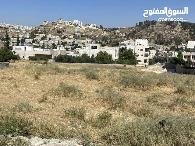 Mixed Use Land for Sale in Amman Naour